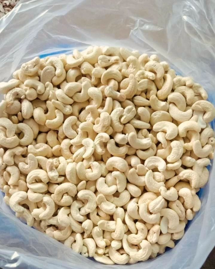 High Quality Roasted Cashew Nut All Size Raw Dried Premium Grade With Customised Packing at Factory Price
