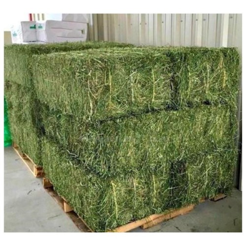 Alfalfa Hay Premium Quality Animal Feed Grass Hay Wholesale Supplier for Importers