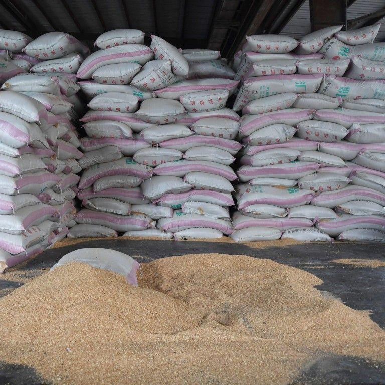 Premium Grade Soybean Meal 48% Protein Dried Bulk GMO Soybeans for Human Food