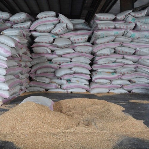 Premium Grade Soybean Meal 48% Protein Dried Bulk GMO Soybeans for Human Food
