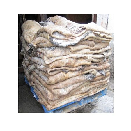 Wholesale Dealer of Cheapest Price Dry and Wet Salted Cow Hides / Skins / Animal Cattle Hides