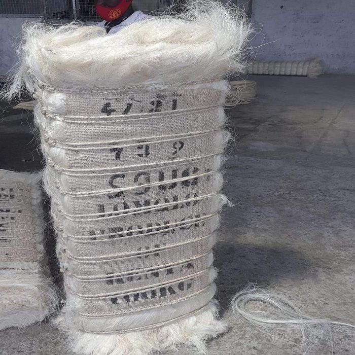 100% Natural Sisal Fiber bulk price / High quality sisal fiber