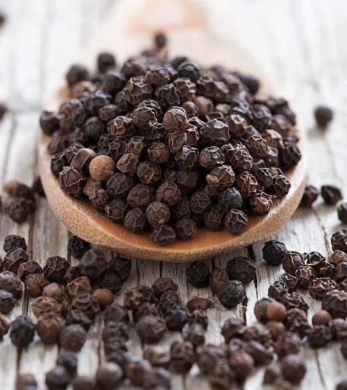 High Quality Dried AD Processed Raw Black Pepper-Wholesale Spice Export