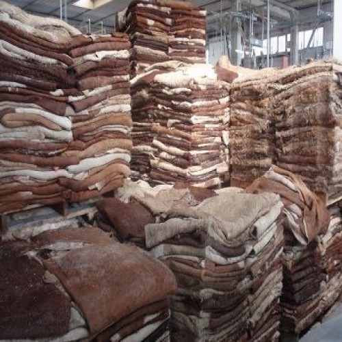 Wholesale Dealer of Cheapest Price Dry and Wet Salted Cow Hides / Skins / Animal Cattle Hides