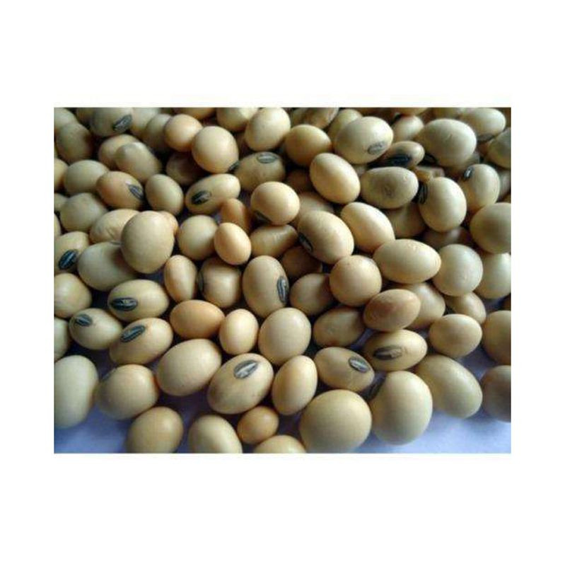 Soybean Meal For Sale Cheap Premium Soybean Meal Perfect For Livestock Poultry Animal Feed
