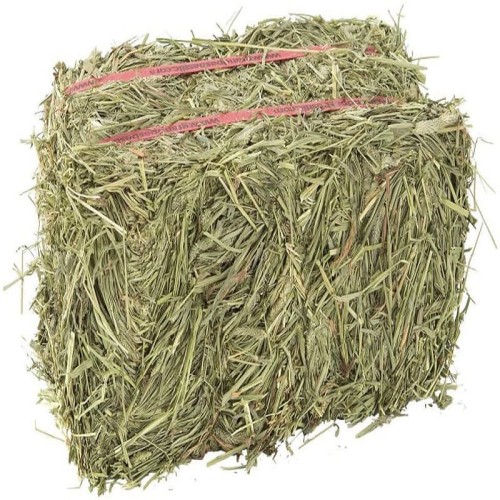 Premium Alfalfa Hay Pallet in Bales  24 Months Shelf Life Animal Feed