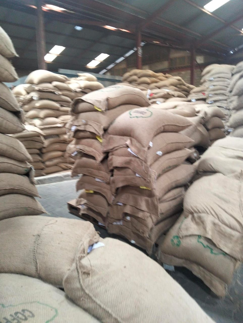 High Quality Roasted Arabica and Robusta Coffee Beans