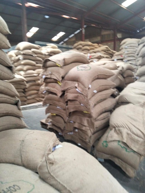High Quality Roasted Arabica and Robusta Coffee Beans