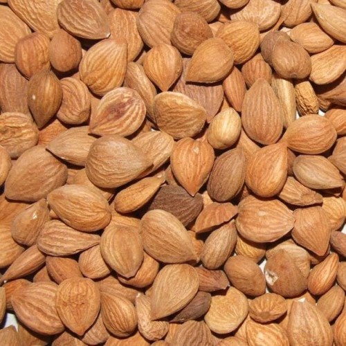 Dried Natural Apricot Kernels