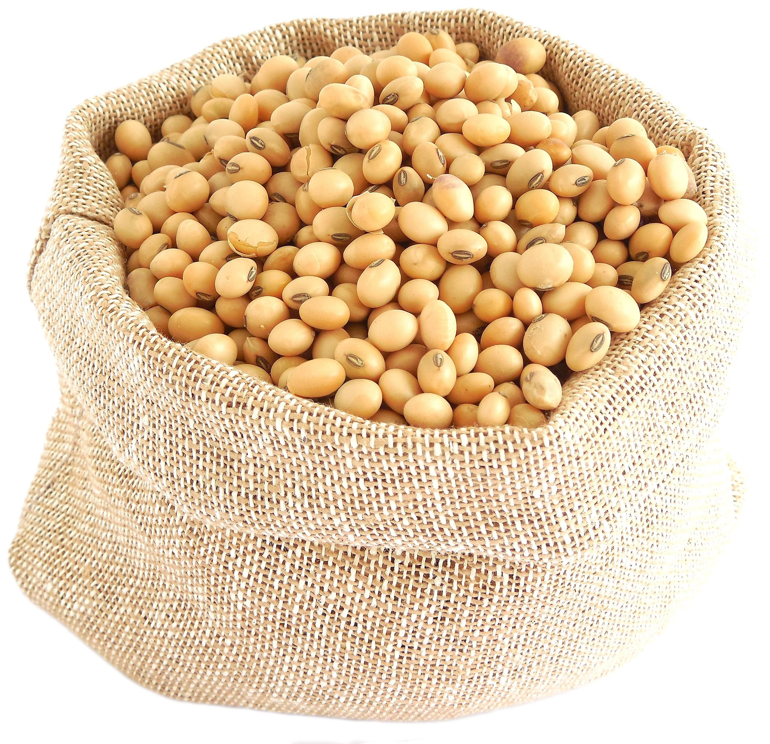 Soybean Meal For Sale Cheap Premium Soybean Meal Perfect For Livestock Poultry Animal Feed