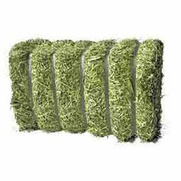 Premium Alfalfa Hay Pallet in Bales  24 Months Shelf Life Animal Feed