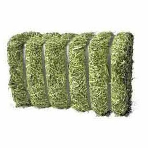 Premium Alfalfa Hay Pallet in Bales  24 Months Shelf Life Animal Feed