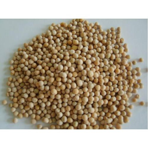 Granular Phosphate Fertilizer Dap 18-46-0 Diammonium Phosphate Yellow And Brown Color Fertilizer DAP 18-46-0 Diammonium