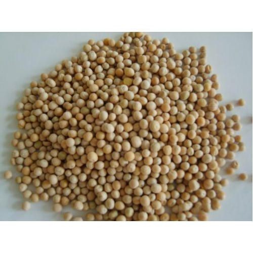Granular Phosphate Fertilizer Dap 18-46-0 Diammonium Phosphate Yellow And Brown Color Fertilizer DAP 18-46-0 Diammonium