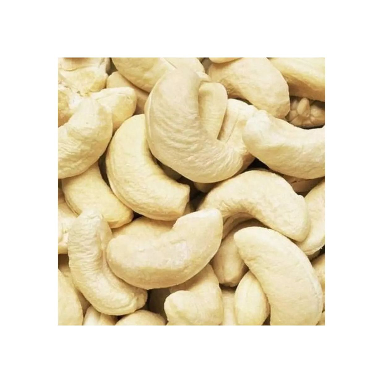 High Quality Roasted Cashew Nut All Size Raw Dried Premium Grade With Customised Packing at Factory Price