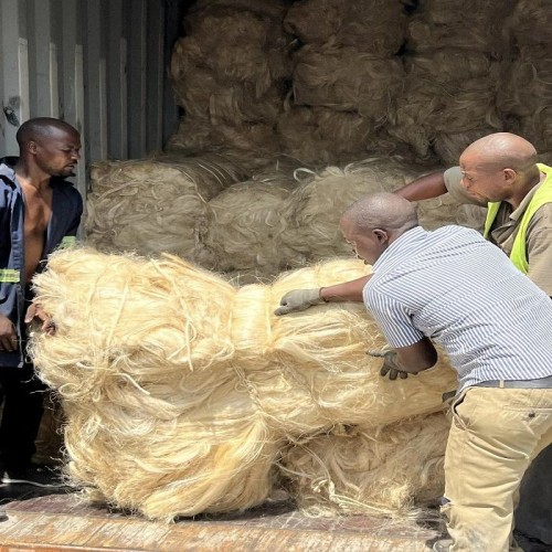 100% Natural Sisal Fiber bulk price / High quality sisal fiber