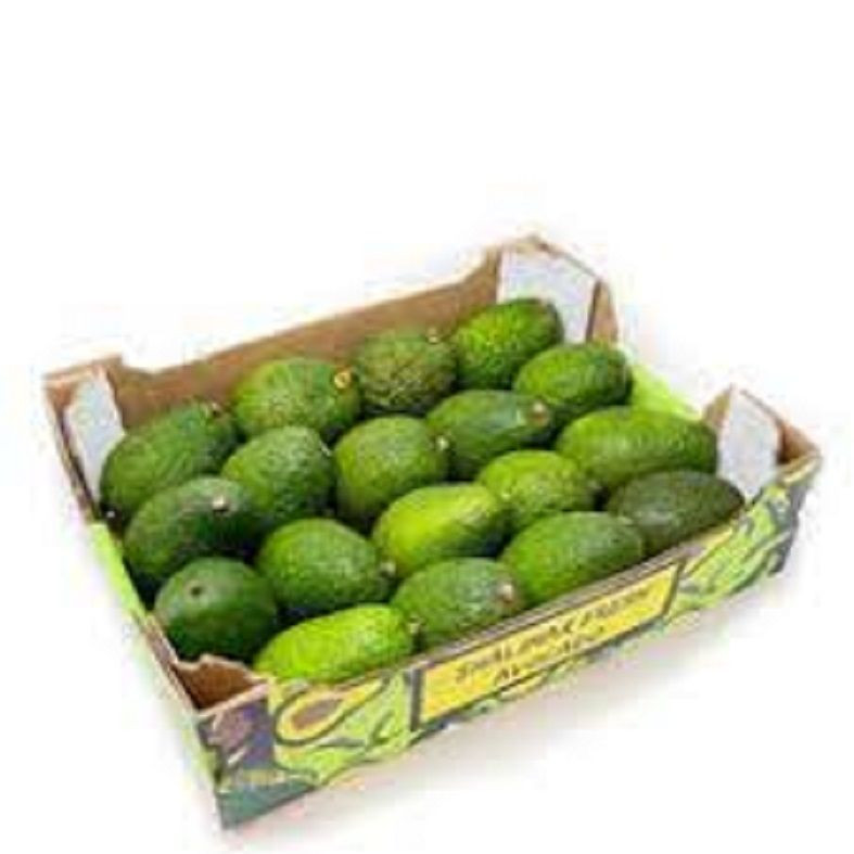 Wholesale Fresh and Frozen Top Grade Avocado Fruits at Good Price