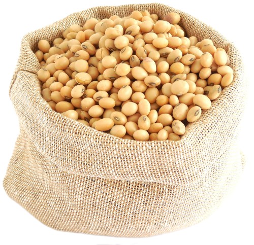 Buy Cheap High Quality Organic Dried Soybeans Bulk Pack for Healthy Meals