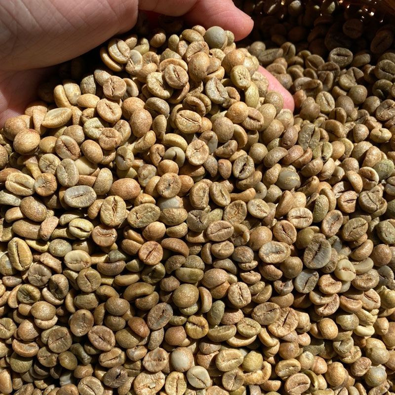 High-Quality Green Coffee Beans
