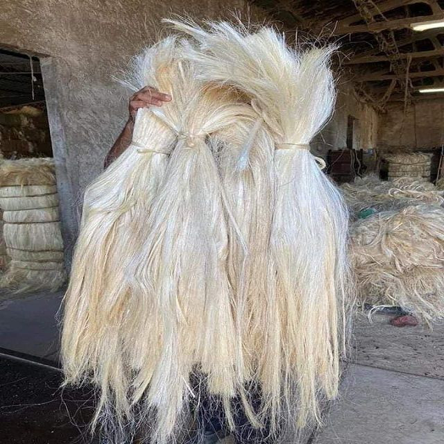 High Quality Sisal Fiber for sale