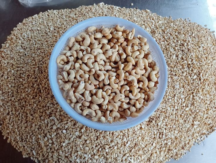 Wholesale Cheap Roasted Cashew Nuts at Competitive Prices Bulk Cashew Nuts for Sale from Trusted Dealers and Exporters