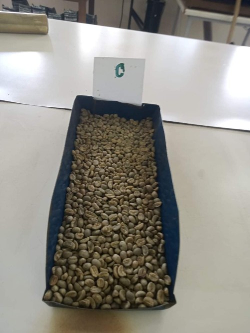 High Quality Roasted Arabica and Robusta Coffee Beans