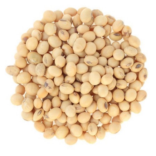 Premium Grade Soybean Meal 48% Protein Dried Bulk GMO Soybeans for Human Food