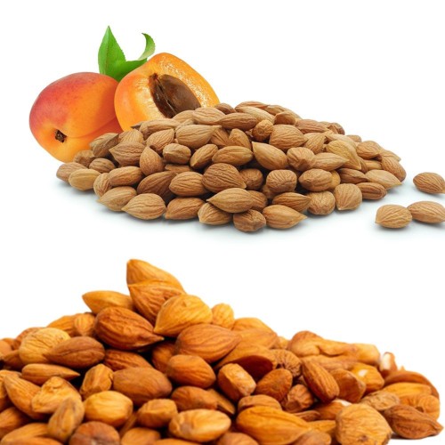 Dried Natural Apricot Kernels