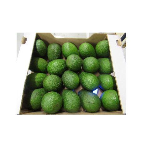 Organic Hass Avocado Best Quality Natural Fresh Produce for Sale Certified Organic Cultivation