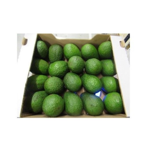 Organic Hass Avocado Best Quality Natural Fresh Produce for Sale Certified Organic Cultivation
