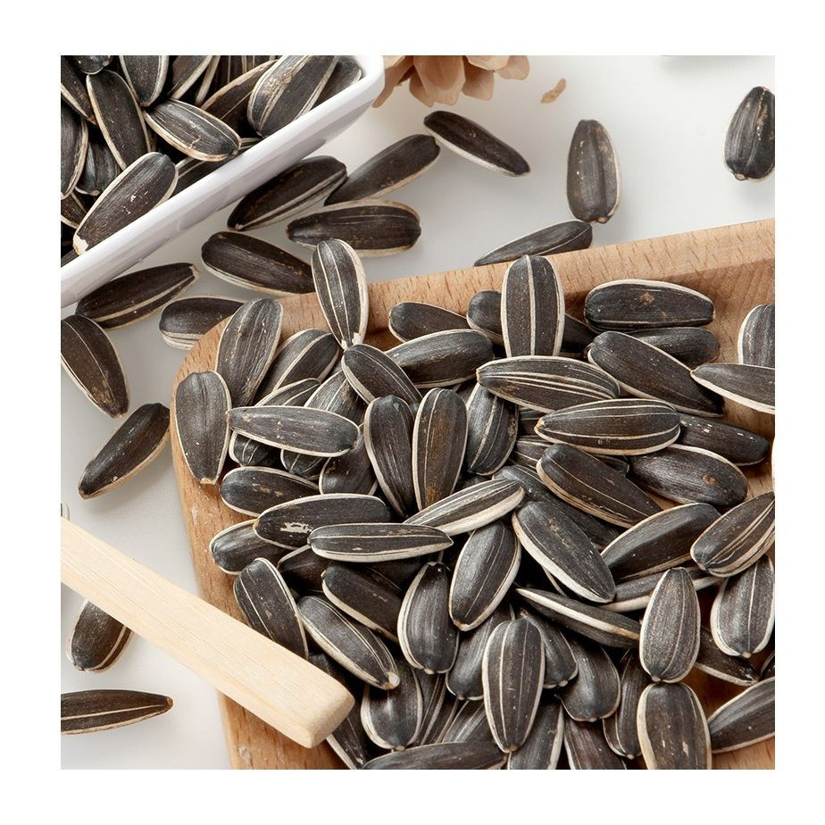 Wholesale Sunflower Seeds Kernel/Sunflower Seeds Ready For Export