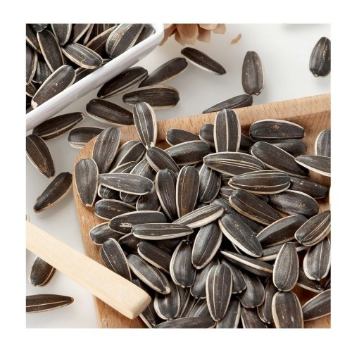 Wholesale Sunflower Seeds Kernel/Sunflower Seeds Ready For Export