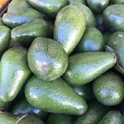 Organic Hass Avocado Best Quality Natural Fresh Produce for Sale Certified Organic Cultivation