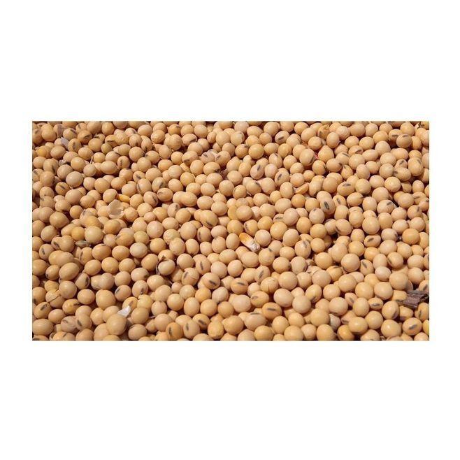 Premium Grade Soybean Meal 48% Protein Dried Bulk GMO Soybeans for Human Food