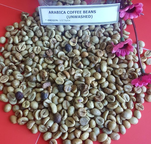 Bulk Arabica and Robusta Green Coffee Beans Unroasted Premium Quality