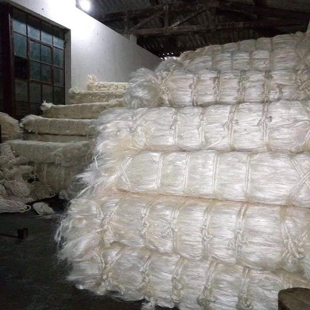 Exporters Premium Sisal Fiber (100% Natural Sisal)